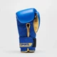 Боксерські рукавиці Leone GN220 DNA Blue 14 унцій - изображение 4