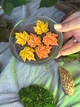 Силіконова форма Великі кленові листочки - зображення 3
