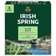 Мило дезодоруюче Irish Spring Aloe 104.8 г 3 шт - зображення 1