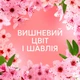 Кондиционер для белья Lenor Вишневый цвет и шалфей 675 мл (8700216723657) (254241) - изображение 6