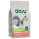 Сухой корм для собак OASY OAP ADULT Small/Mini лосось 800 г - изображение 1