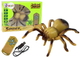 Pająk zdalnie sterowany Lean Toys Animal Paradise Żółty (3317) (5905884458891) - obraz 2