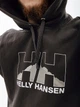 Худі HELLY HANSEN NORD GRAPHIC PULL OVER HOODIE 62975-981 L, 7040057043844 - изображение 3