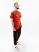 Футболка HELLY HANSEN MOVE COTTON T-SHIRT 53976-308 XL - изображение 4