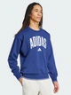 Свитшот оверсайз на флисе мужской Adidas Collegiate JM1734 M Синий с принтом (4068808784702) - изображение 3