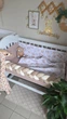 Плед Конверт на виписку, Оленята з кульками + кавовий, 100% бавовна, 80х100см, для хлопчика, для дівчинки, для прогулянок, літній, демісезонний, стрічка в подарунок - зображення 4