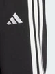 Спортивные штаны утепленные мужские Adidas Essentials 3-Stripes Fleece JD1854 XL Черные (4067905726431) - изображение 4