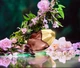 Духи Orebella "WINDOW2SOUL" PARFUM 10 мл - изображение 5