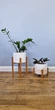 Комплект подставок для цветов и вазонов 2шт WoodDecor покрытые маслом - изображение 1
