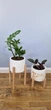 Комплект подставок для цветов и вазонов 2шт WoodDecor без покрытия - изображение 7