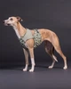 Охлаждающий жилет для собак PAIKKA Cool Vest Green Leo XS - изображение 4