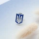 Срібний значок національний Герб України - Тризуб - изображение 1