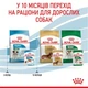 Влажный корм для щенков Royal Canin Mini Puppy 85 г (9003579008218) - изображение 3