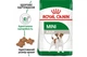 Сухий корм для собак Royal Canin Mini Adult 8 кг (3182551055757) - зображення 2