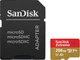 Карта памяти SanDisk microSD 256GB C10 UHS-I U3 R190/W130MB/s Extreme V30 + SD (SDSQXAV-256G-GN6MA) - изображение 1