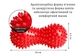 Массажный мячик EasyFit Goober с шипами красный (A-022189) - изображение 6