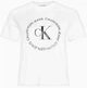 Футболка жіноча Calvin Klein Jeans Ck Round Straight Logo Women's T-Shirt S Біла (268924) - изображение 5