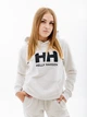 Худі HELLY HANSEN W HH LOGO HOODIE 33978-823 M, 7040057006436 - изображение 1