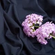 Ткань кулир с эластаном т/синий 4810725 - изображение 3