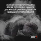 Угольные брикеты Weber 8 кг (17591) - изображение 5