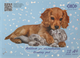 Набір альбомів для малювання ZiBi Pets A4 12 аркушів на скобі 8 шт (ZB.1415-14) - зображення 2