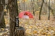 Термос Tramp Expedition Line 0,5 л чорний UTRC-030-black - изображение 7