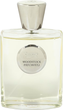 Парфумована вода унісекс Giardino Benessere Woodstock Patchouli 100 мл (8016741922633) - зображення 1