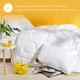 Одеяло всесезонное полуторное Air Dream Exclusive 155х210 см IDEIA, двойное супер теплое дабл, антиаллергенное - изображение 5