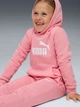 Детский теплый спортивный костюм (худи + штаны) Puma ESS No.1 Logo 68523827 116-122 см Pinkscape (4069157454995) - изображение 4