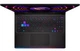 Ноутбук MSI Raider GE68 HX 14VGG (14VGG-287US_32_2_custom) Black - изображение 4