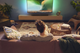 Soundbar Philips TAB5109 Black (4895229136762) - obraz 10