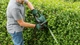 Кусторез UniversalHedgeCut 50 480Вт Bosch (hoz0013532) - изображение 6