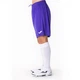 Шорты фиолетовые Joma NOBEL 100053.550 Joma 6XS-5XS - изображение 4