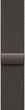 Смарт-часы Apple Watch Series 10 GPS + Cellular 46mm Slate Titanium Case with Slate Milanese Loop - M/L (MWYW3QH/A) - изображение 3