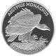 Монета Україна 10 гривень 2008 Срібло Proof Птах - Гриф чорний (Ag 925, унція, 31.1 грам) - зображення 3