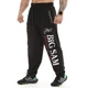 Штани спортивні Big Sam 1095 розмір 3XL - зображення 1