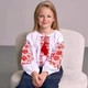 Вишиванка MEREZHKA для дівчинки Фіалка 146 - зображення 1