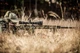 Прилад Nightforce ATACR 5-25x56 F1 ZeroS 0.1Mil сітка TReMoR3 - зображення 10
