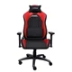Компьютерное кресло для геймера Trust GXT 714R Ruya Red (25064) - изображение 1