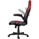Компьютерное кресло для геймера Trust GXT703R RIYE (24986) - изображение 5