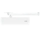 Доводчик RYOBI D-2055V GLOSSY_WHITE BC UNIV_ARM - изображение 1