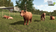 Gra XSX Farming Simulator 25: Highlands Fishing Edition (płyta Blu-Ray) (4064635510736) - obraz 5