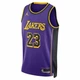 Майка Air Jordan Dri-Fit Nba Swingman Jersey Los Angeles Lakers Statement Edition Lebron James Violet DO9530-508 XXL - изображение 2