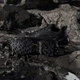 Мужские кроссовки для треккинга с Gore-Tex Adidas Terrex Skychaser Ax5 Gtx JQ2210 46 (11UK) 29.5 см Cblack/Cblack/Carbon (4067903159149) - изображение 8