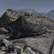 Женские демисезонные ботинки низкие для треккинга с Gore-Tex Adidas Terrex Skychaser Ax5 Mid Gtx W JQ2219 40 (6.5UK) 25 см Carbon/Cblack/Seflaq (4067903105597) - изображение 2