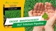 Мікроконюшина Піполіна / Pipolina DLF Trifolium 0,45 кг *12 шт - зображення 2