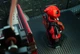Колекційне погруддя Дедпул Deadpool. Aivory - зображення 3