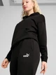 Спортивные штаны на флисе женские Puma Essentials Foundation 68244801 XXS Black (4067983617898) - изображение 5