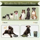 Ультразвуковий антигавкітний пристрій Queenmew U11 Green (R4536131820250) - зображення 5