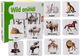 Puzzle edukacyjne Lean Toys Dzikie zwierzęta 10 połączeń 7811 (wersja angielska) (5903802454024) - obraz 6